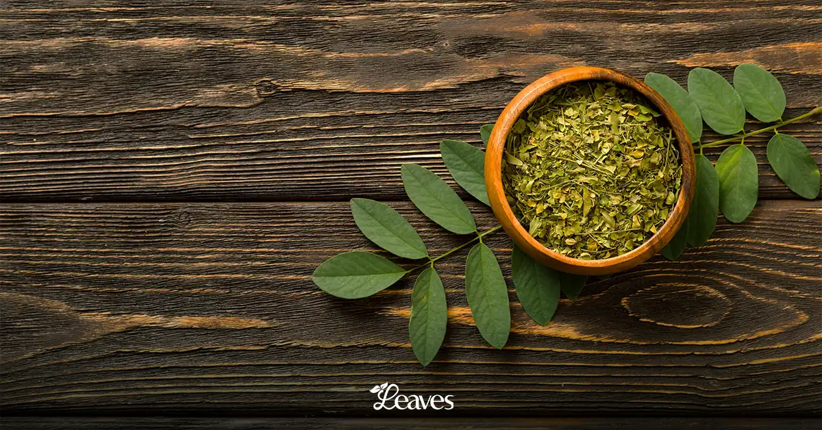 benefits of moringa herb